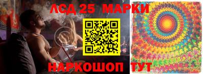 гидра Будённовск