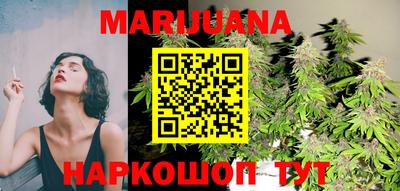 гидра Будённовск