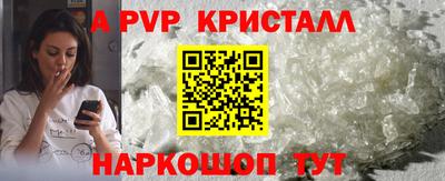 гидра Будённовск