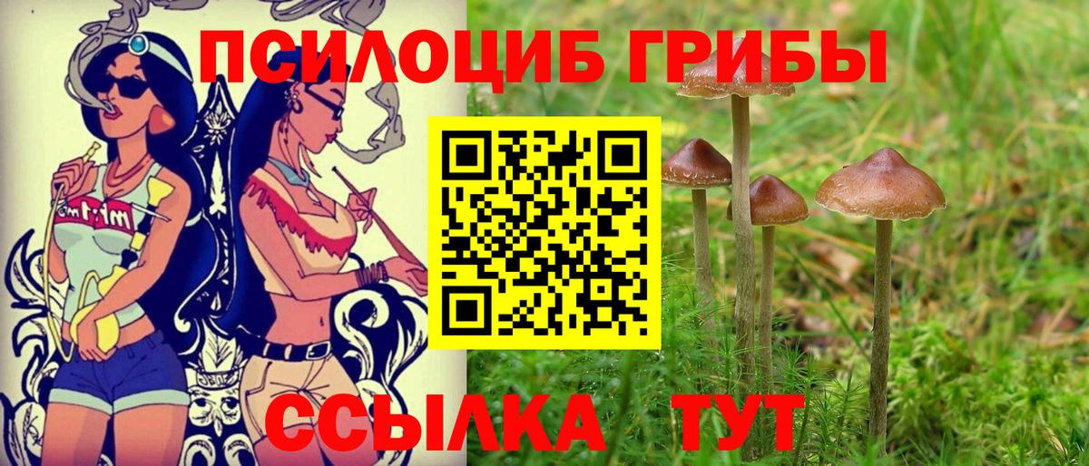 Псилоцибиновые грибы прущие грибы Находка