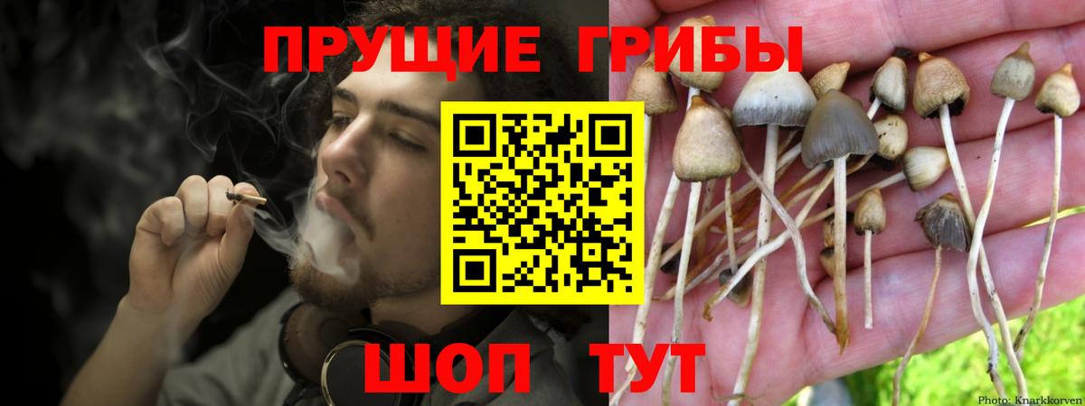 Псилоцибиновые грибы мухоморы  Вход с VPN  Находка  Галлюциногенные грибы ЛСД 